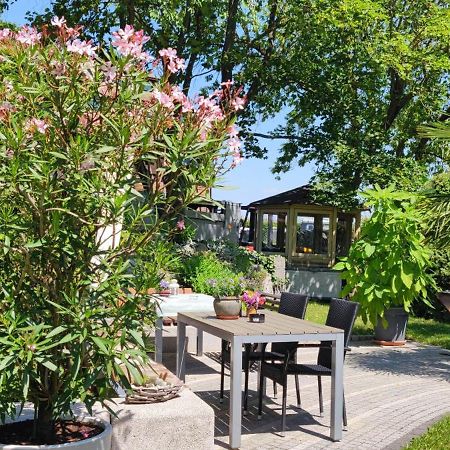 Apartment Im Gruenen Mit Anbindung Ans Zentrum Erfurt Eksteriør billede
