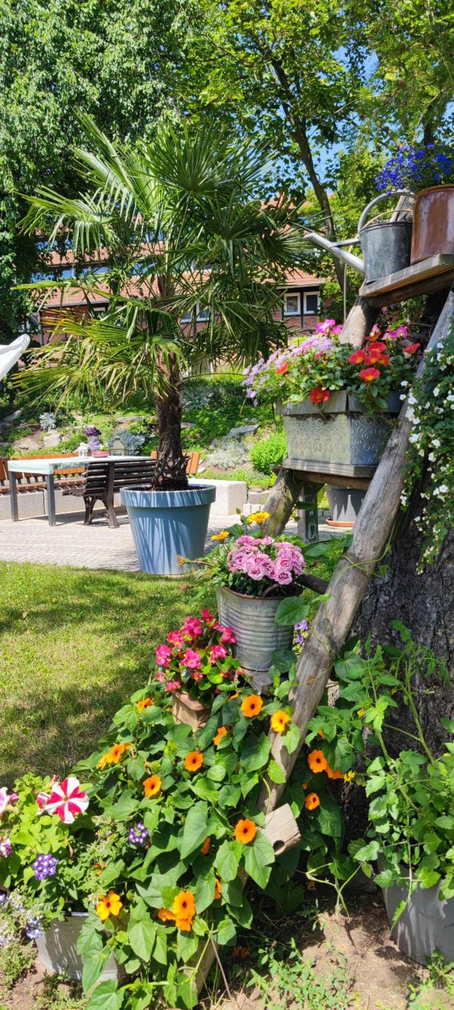 Apartment Im Gruenen Mit Anbindung Ans Zentrum Erfurt Eksteriør billede