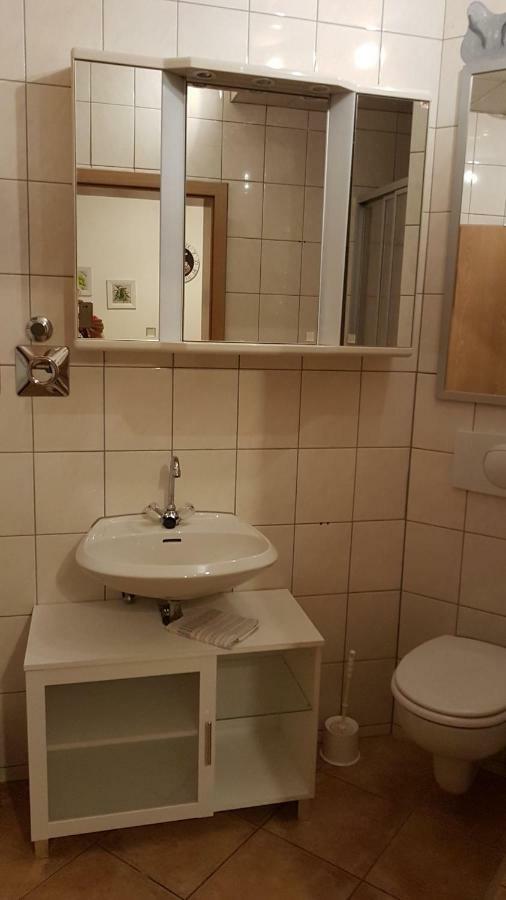 Apartment Im Gruenen Mit Anbindung Ans Zentrum Erfurt Eksteriør billede